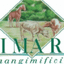 MANGIMIFICIO I.MA.R. SRL – company logo, company info header