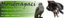 MONDORAPACI – company logo, company info header