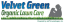 WELLVET CARE – company logo, company info header