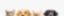JACQUI PATERSON – company logo, company info header