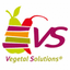 VS VEGETAL SOLUTIONS – company logo, company info header