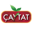 ÇAYTAT – company logo, company info header