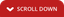 DOLFIN S.P.A. – company logo, company info header