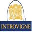 CANTINE INTROVIGNE – company logo, company info header