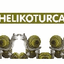 HELIKOTURCA – company logo, company info header