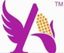 Angel Starch & Food Pvt Ltd  – company logo, company info header