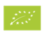 CANUTI TRADIZIONE ITALIANA SRL – company logo, company info header