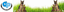 FUTTERMITTEL PALMOWSKI INHABER DIETMAR PALMOWSKI – company logo, company info header