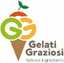 GELATI GRAZIOSI – company logo, company info header