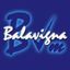 Balavigna Weaving Mills Private Limited – company logo, company info header