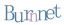 Zhengzhou Burnnet Im&Ex Trading Co., Ltd. – company logo, company info header