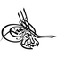 BAYEZİT DIŞ TİCARET TEKSTİL LİMİTED ŞİRKETİ – company logo, company info header