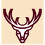 WILDHANDEL VERMEERSCH – company logo, company info header