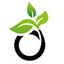 OLYMPUS TEA – company logo, company info header