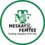 Meskay & Femtee Trading Company – company logo, company info header