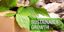 AFRICA FOOD & CHEMICAL EXPORT PTY – company logo, company info header