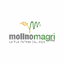 MOLINO MAGRI SPA – company logo, company info header