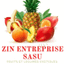 ZIN ENTREPRISE – company logo, company info header