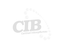 CIB NL B V – company logo, company info header