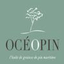OCEPIN – company logo, company info header