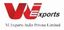 Vi Export India Pvt. Ltd. – company logo, company info header