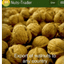 NUTS-TRADER – company logo, company info header