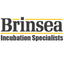 BRINSEA PRODUCTS LTD – company logo, company info header