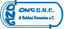 O.N.G. S.N.C. DI NALDONI DOMENICO E C. – company logo, company info header