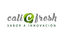 CALIPLANT AGRO S.L – company logo, company info header