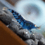 AQUARISTIK-BAYERN – company logo, company info header