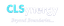 CL SYNERGY LIMITED – company logo, company info header