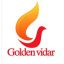 Shenyang Golden Vidar Machinery & Equipment Imp. & Exp. Co., Ltd. – company logo, company info header
