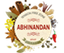 ABHINANDAN EXIM – company logo, company info header