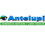 ANTELUPI S.R.L. – company logo, company info header