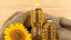 OIL EX – company logo, company info header