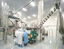 CHENGDU MAYALAND TRADİNG CO.,LTD – company logo, company info header