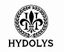 Hydolys Group Limited  – company logo, company info header