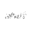 Toomaï – company logo, company info header
