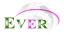 Hangzhou Ever Import & Export Co., Ltd. – company logo, company info header