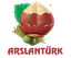 ARSLANTÜRK TARIM ÜRÜNLERİ SANAYİ İHRACAT VE İTHALAT ANONİM ŞİRKETİ – company logo, company info header