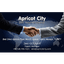 APRICOT CITY – company logo, company info header