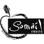 SOMAIL FRUITS – company logo, company info header