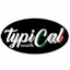 TYPICAL SOUTH – company logo, company info header