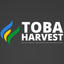 HORAS GLOBAL CORP  – company logo, company info header