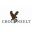 CHOCONSULT – company logo, company info header