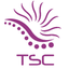 TURKISH SEA CUCUMBER – company logo, company info header