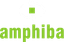 AMPHIBA S.A – company logo, company info header