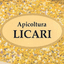 APICOLTURA LICARI – company logo, company info header