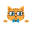 SC CAMARA LUI TOMITA SRL – company logo, company info header