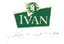 IVAN – company logo, company info header